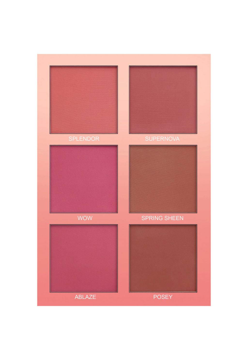 Bridal Book Professional Makeup Kit