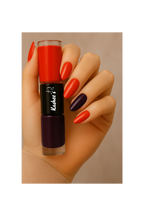 Kashees Nail Polish (Pack of 48 Pcs)